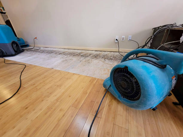 Professional Water Removal technician working in Onalaska, TX